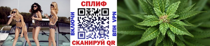Магазины продажи наркотиков Перевоз Cocaine  А ПВП  Галлюциногенные грибы  Марихуана  Меф  ГАШ 