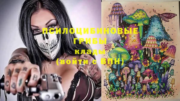 бошки Алзамай